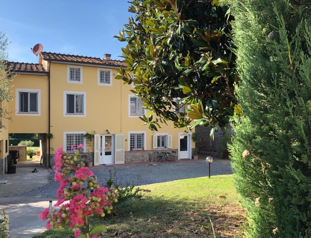Intero Alloggio Campagna Lucca كابانّوري المظهر الخارجي الصورة