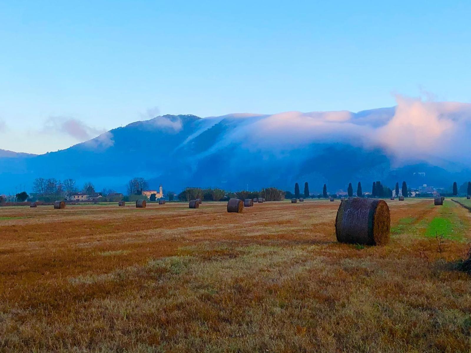 Intero Alloggio Campagna Lucca كابانّوري المظهر الخارجي الصورة