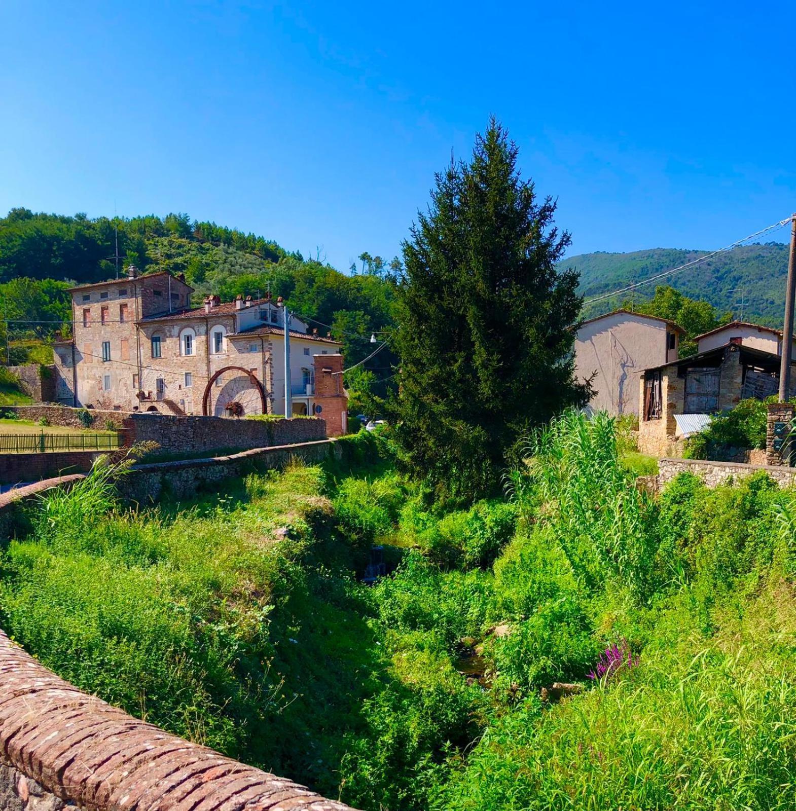 Intero Alloggio Campagna Lucca كابانّوري المظهر الخارجي الصورة